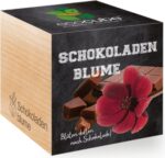 EcoCube - Čokoládový kvet