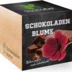 EcoCube - Čokoládový kvet