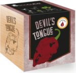 EcoCube - Chilli