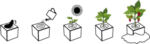 EcoCube - Chilli – Obrázok 3