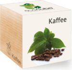 Darček pre kávičkára - Darčekový box pre milovníka kávy s EcoCube Coffee – Obrázok 5