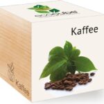 EcoCube - Coffee
