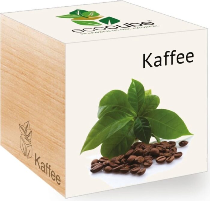 Darček pre kávičkára - Darčekový box pre milovníka kávy s EcoCube Coffee