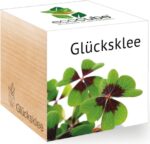 EcoCube - Štvorlístok