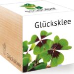 EcoCube - Štvorlístok