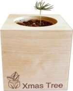 EcoCube - Vianočný stromček – Obrázok 4