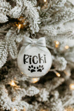 Vianočná guľa pre domáceho miláčika